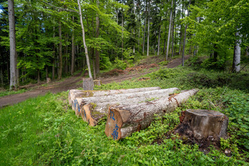 Steinach im Schwarzwald
