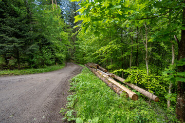 Steinach im Schwarzwald
