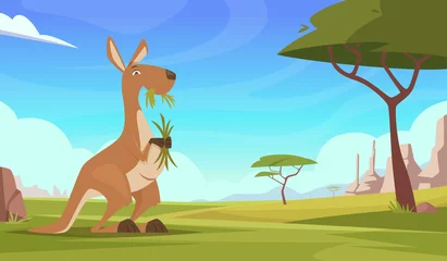 Schilderijen op glas Kangaroo background. Cartoon australian landscape with wildlife animals kangooroo plants and rocks exact vector illustrations © ONYXprj