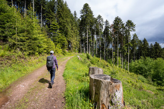 Steinach im Schwarzwald