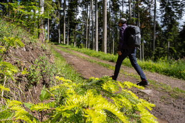 Steinach im Schwarzwald
