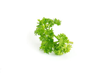 Parsley isolated on a white background