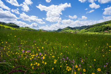 Obraz premium Steinach im Schwarzwald