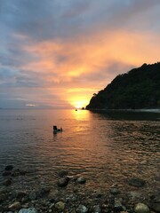 Dog enjoying a sunset in the Philippines