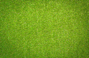 green grass background