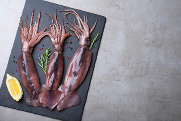 Fresh raw squids with lemon, rosemary and pepper on grey table, top view. Space for text