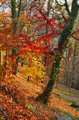 Park in Frydek-Mistek. Czech republic