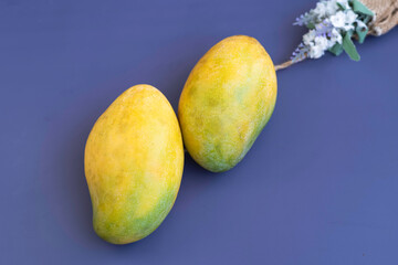 Two Indian Mangoes put on background,