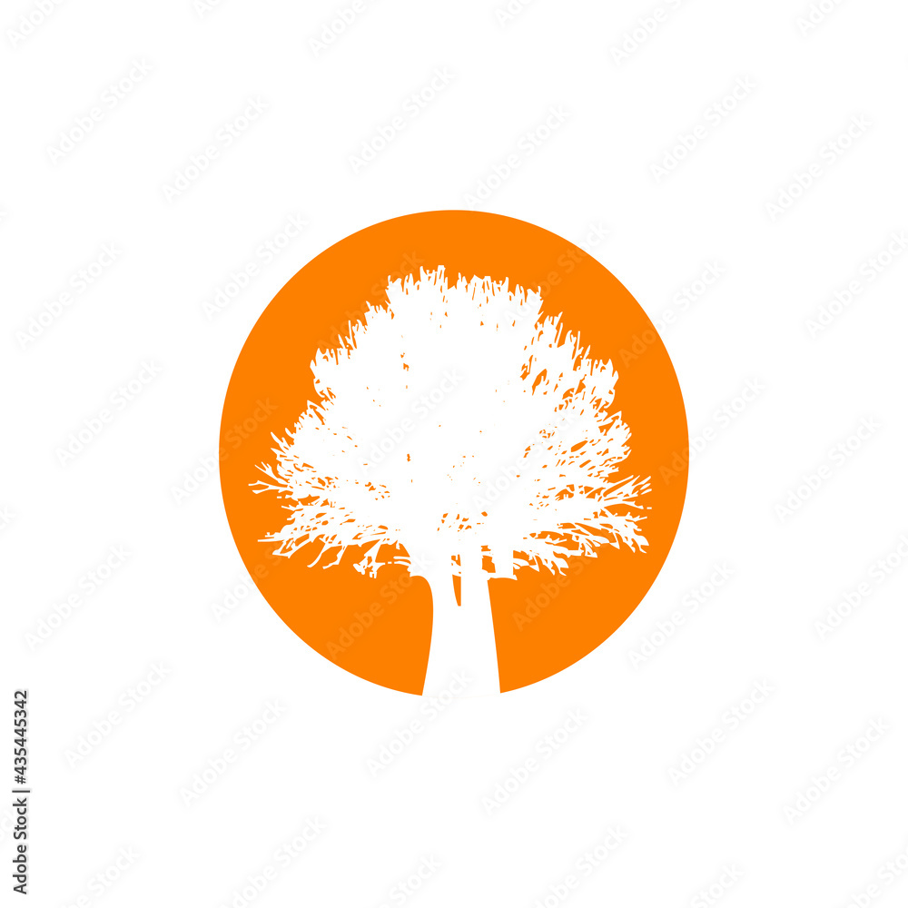 Poster oak tree logo design template