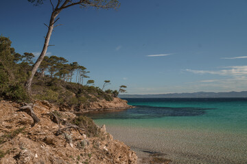 Fototapeta na wymiar beach with trees on an island