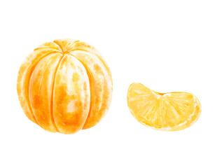 Realistic watercolor set with peeled oranges isolated on a white background. Hand-drawn illustration.