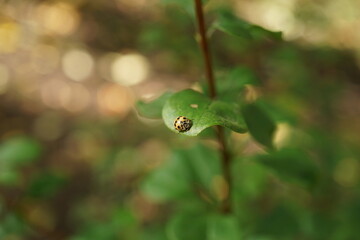 Everything that surrounds