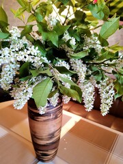flowers in a pot