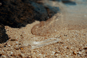Fototapeta na wymiar Plastic trash mixed with sand found in the beach.