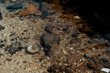 Garbage can in the sea. It is mixed with a rocks.