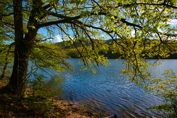 Lac de Chaumenon im Morvan im Burgund