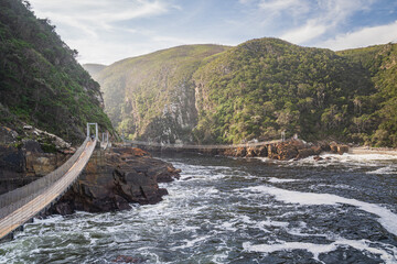 Tsitsikamma National Park on the Garden Route in South Africa