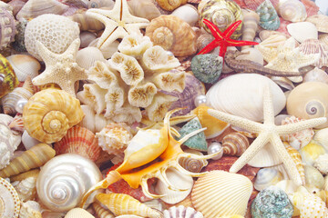 Seashell background, lots of seashells with starfishes and corals