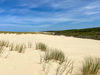 Fototapeta na wymiar Dune de sable, plage de le Porge, Gironde