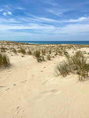 Dune de sable, plage de le Porge, Gironde