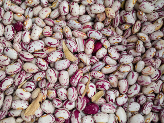 Bunch of common beans, healthy diet rich in protein, carbohydrates and fiber