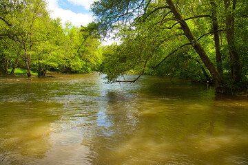 Die Cure bei Pierre Perthuis im Burgund