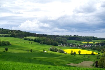 Obraz premium Rapsfeld 