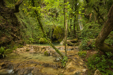Fototapeta na wymiar Enchanted forest with green natural pool and waterfalls near Castel di Fiori, Umbria