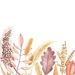 Watercolor hand painted nature autumn plants set with brown cereals, orange leaves and branch, yellow rye ear composition on the white background for design elements and cards 