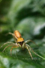 a set of my all photo was taken by me