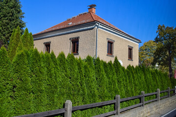 Green high hedge closes a house in Europe