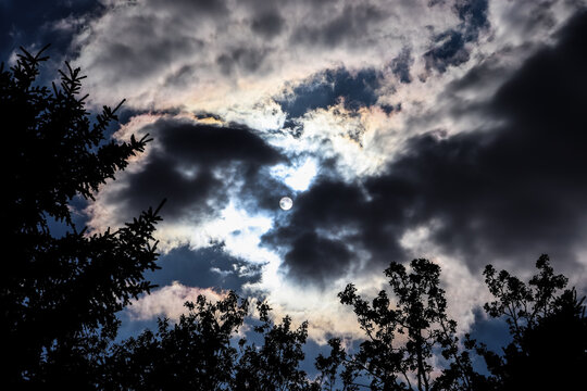 Iridescent clouds around the sun and a silhouette of trees