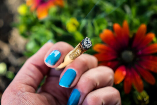 A lit cannabis joint held by a hand with blue nails with a flower garden background