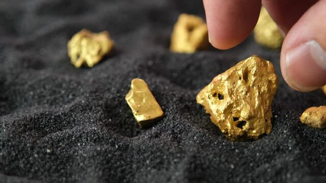 Man's hand is considering holding gold ore from mine on a black sand background.