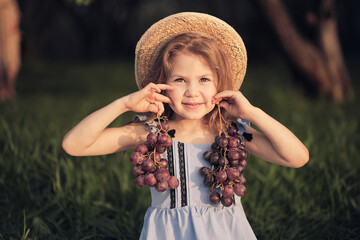 Little girl with grapes outdoors. child holding bunch of red grapes harvested by herself in the vineyard