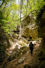 Obraz premium hiker in the woods