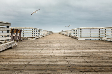 Naklejka premium San Simeon per on the William Randolph Hearst Memorial beach, California
