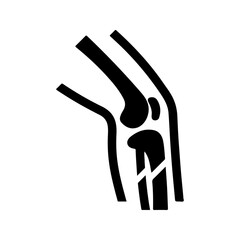 Orthopedic, surgery icon, vector and glyph