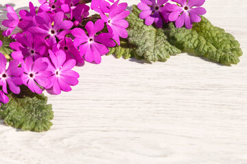 Flower arrangement for congratulations on the holiday, decoration and design.