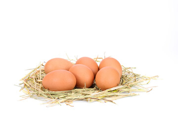 Fresh eggs from organic farms on rice straw Isolated on white background