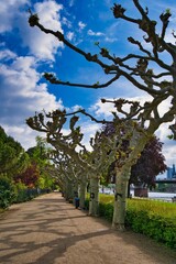 Fotografie von einem schönen Fußgängerweg in der Börsenstadt Frankfurt in Europa.