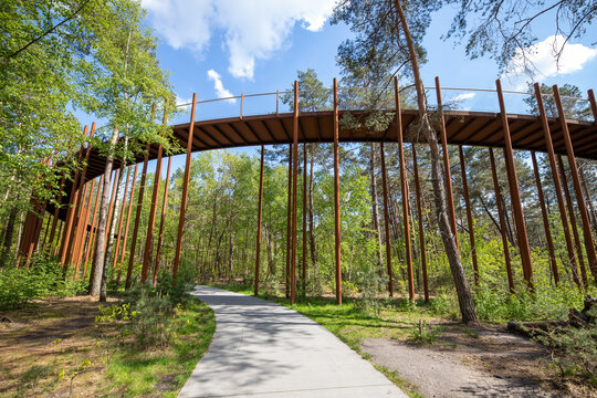 Bike in the trees in Lommel Belgium Flanders