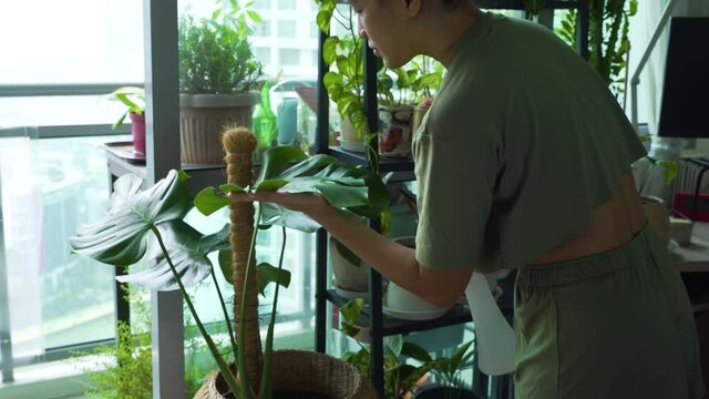 Asian Woman Waters Houseplants during Quarantine