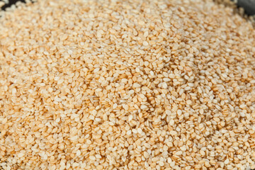 Sesamum indicum - Edible organic white sesame seeds.