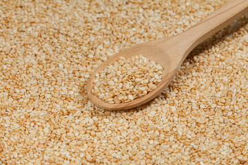 Sesamum indicum - Edible organic white sesame seeds.