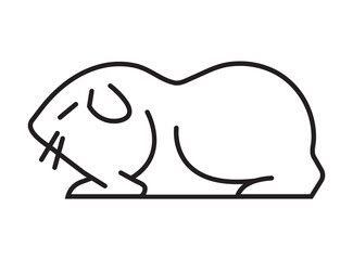 Ferret, hamster, rabbit are the symbols shown. Rat, guinea pig icons.