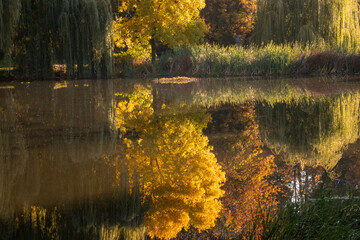Trees are reflected in the water.