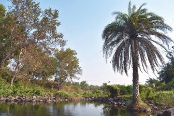 Obraz premium A beautiful water body with reflection of green tress during autumn season