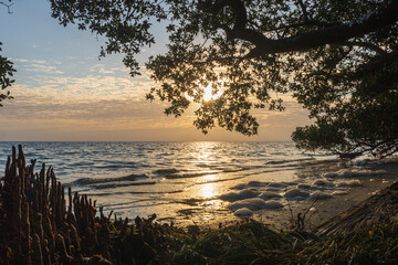 Beach Sunrise, Gulf of Mexico. Tierra Verde, Florida