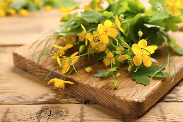 Celandine with board on wooden table, closeup